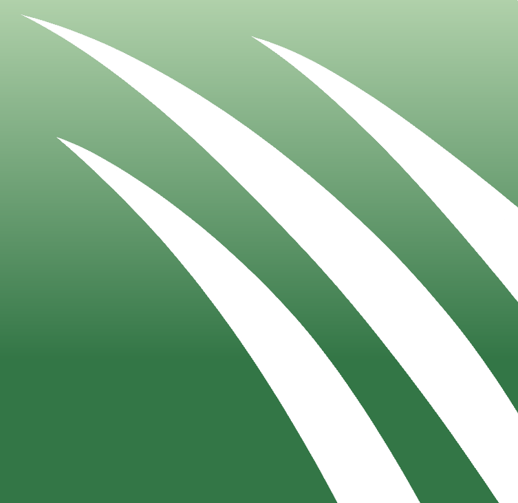 Canyon Artificial Turf